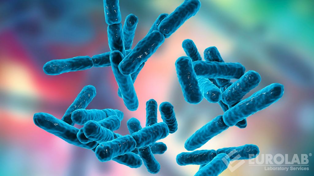 Test aeróbneho počtu mikroorganizmov - baktérie