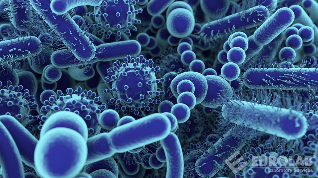 Test na antimikrobiálnu účinnosť