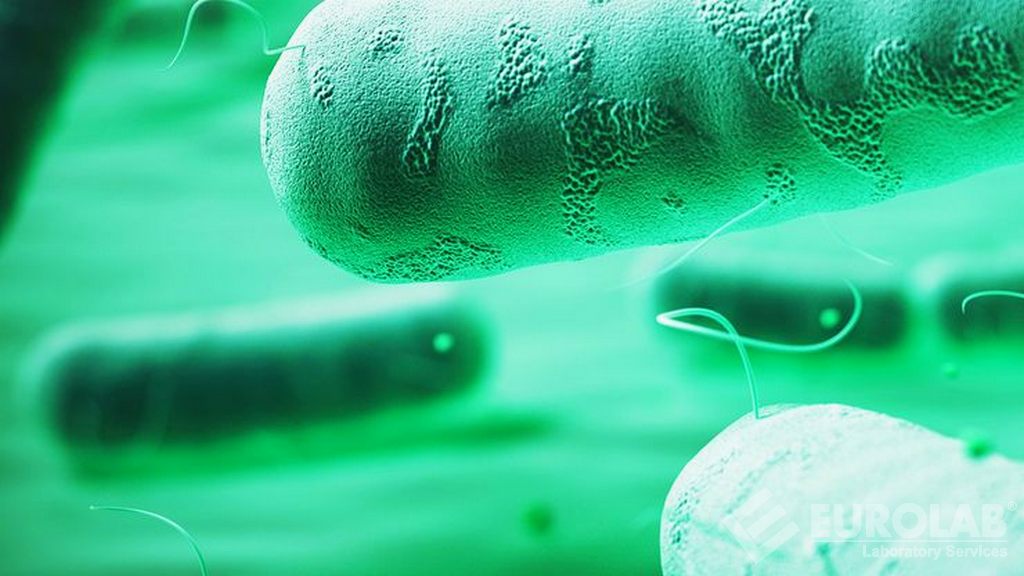 Tessuto antimicrobico e test tessile