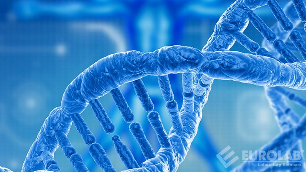 Tracciamento del DNA nella pelle