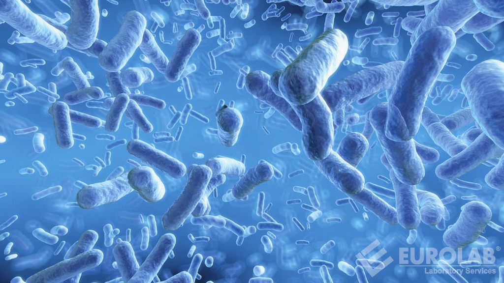 Zaman Öldürme Yöntemiyle Antimikrobiyal Azaltmanın Testi